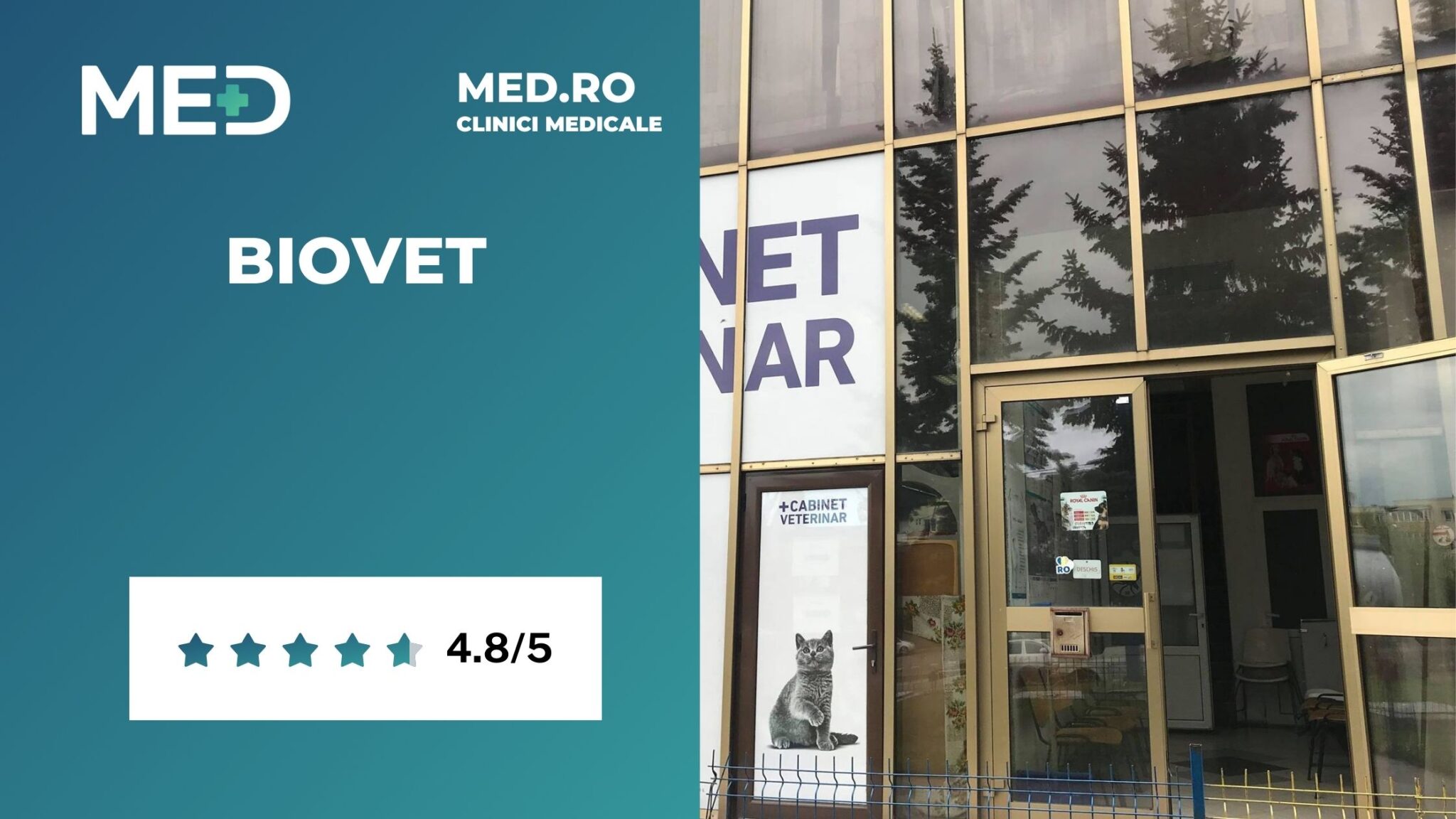 Veterinar Cluj Top 5 Clinici Prețuri Programare Online