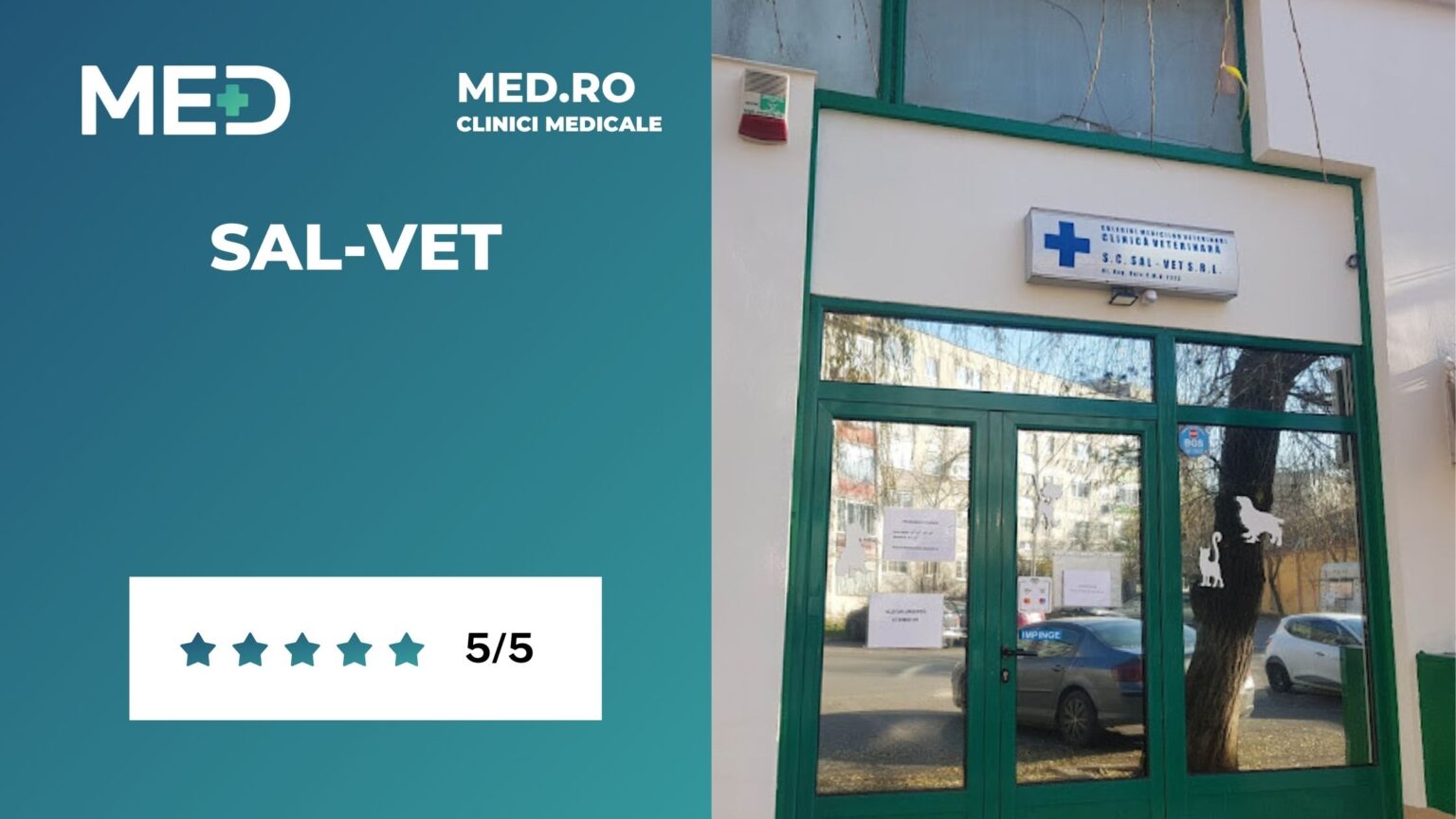 Veterinar Timisoara Top Clinici Pre Uri Programare Online