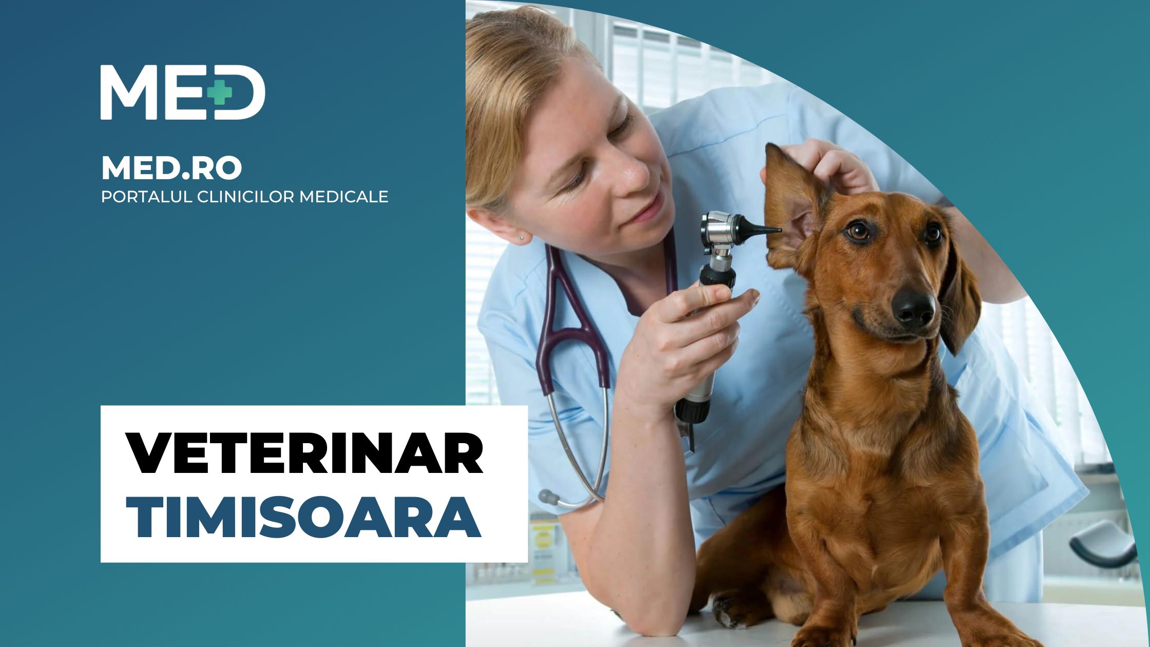 Veterinar Timisoara Top Clinici Pre Uri Programare Online