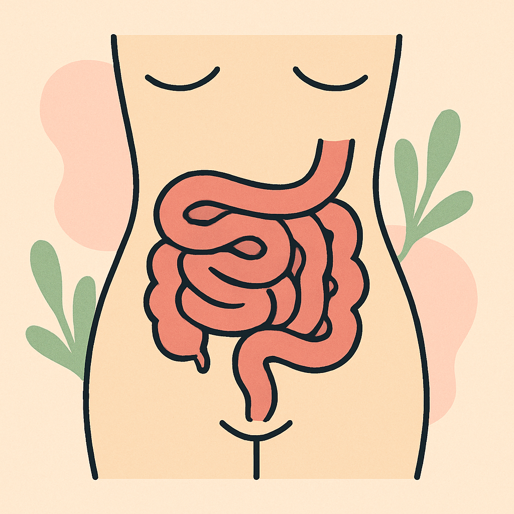 intestine-prezentate-pe-corp-uman