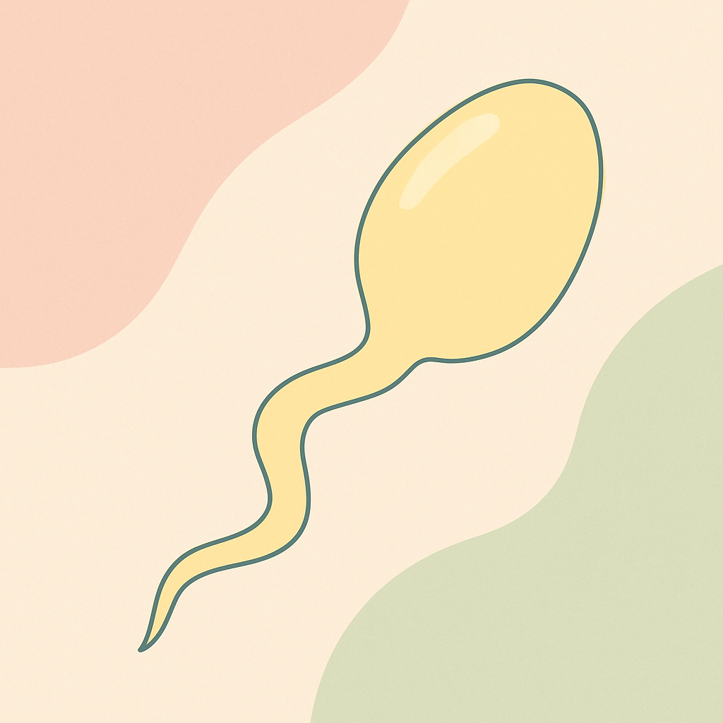 spermatozoid-galben